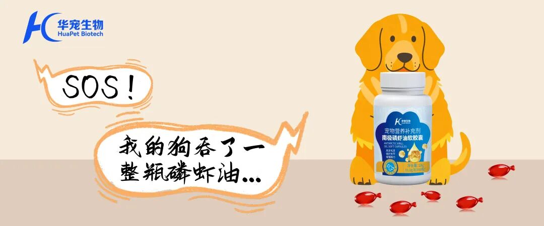 1767939441499143.jpg 640.jpg