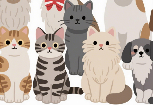 1767939560124586.png 640 (4).png